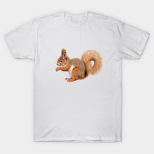 European Red Squirrel T-Shirt